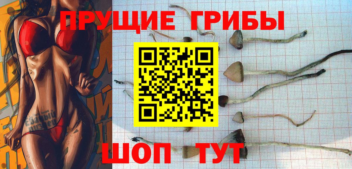 Псилоцибиновые грибы GOLDEN TEACHER  Вход с VPN  Рассказово  Галлюциногенные грибы прущие грибы 